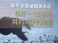 Ƿ؜u(mi)ҰB(nio)F(xin){(dio)飺҇(gu)ÿsʮf(wn)ֻˮB(nio)C