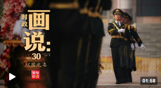 時政畫說丨以國之名